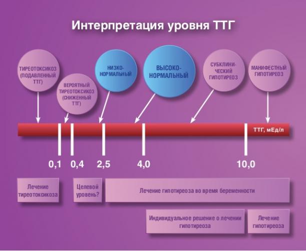 Нормы гормонов щитовидной железы у женщин (таблица)