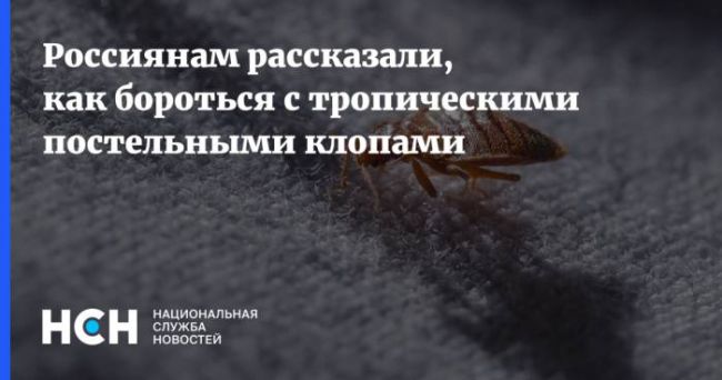 Почему важно стирать постельное белье как можно чаще
