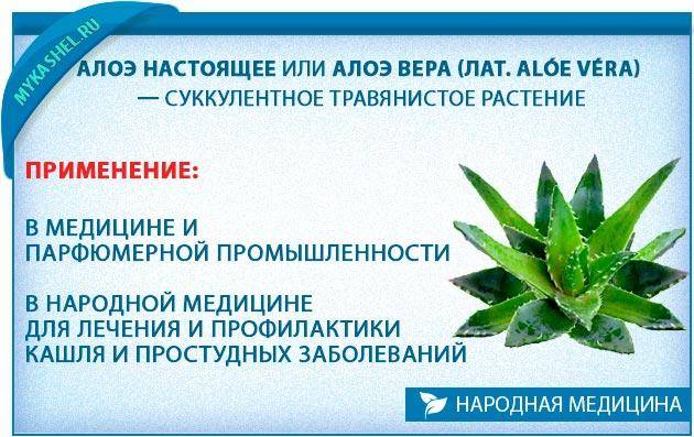 Какие народные средства помогают от кашля у детей?