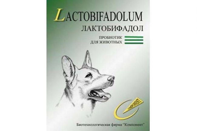 Какие пробиотики давать собаке топ 5 популярных препаратов