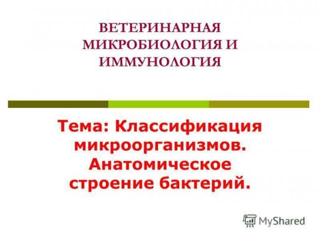 Многообразие методов определения бактерий для решения различных задач
