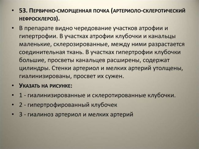 Нефросклероз почек что это такое исход заболевания