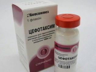 Адицеф порошок инструкция по применению