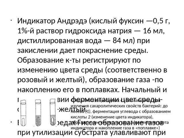 Методы создания бескислородных условий для культивирования анаэробов — студопедия