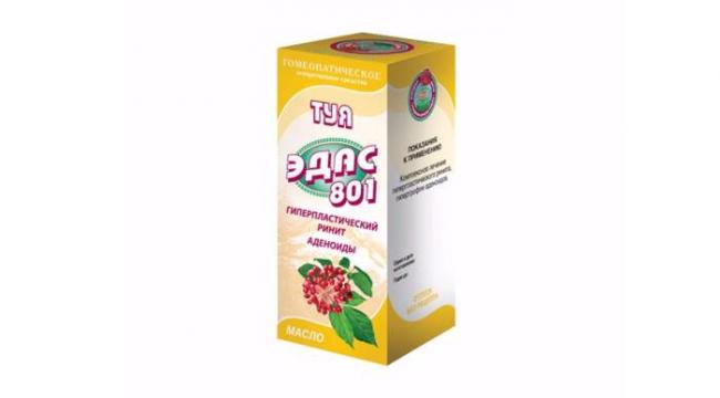 Туя эдас 801 для детей при насморке