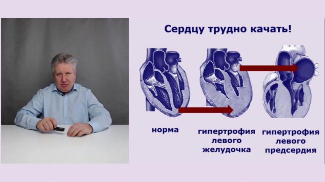 Уколы кортексин: инструкция, цена, аналоги и отзывы