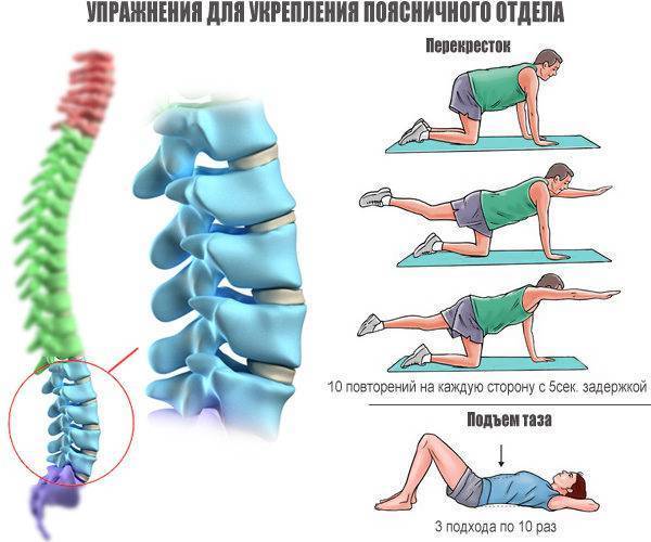Упражнения бубновского при грыже грудного и шейного отдела позвоночника