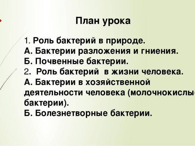 Болезнетворные бактерии: на коже, во рту, в кишечнике. фото грибков и бактерий