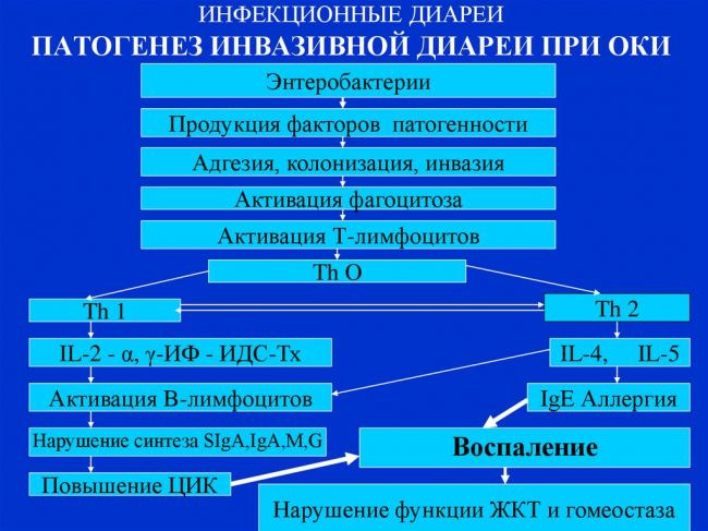 Первая помощь и порядок наблюдения детей при острой кишечной инфекции