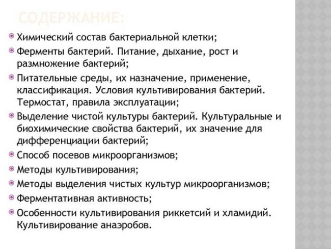 Что такое бактериальная культура, или воспитание «ручных» микроорганизмов