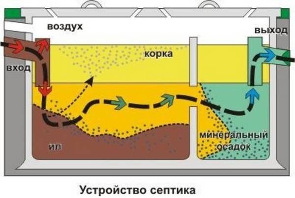 Лучшие бактерии для септиков и выгребных ям: топ-10 эффективных продуктов для улучшения работы очистных систем +отзывы