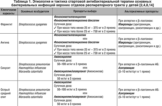 Бактериальная инфекция: бактериолог о формах, отличиях от вирусной, симптоматике, диагностике и лечении