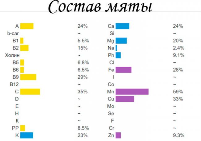 Чай с мятой для похудения и здоровья