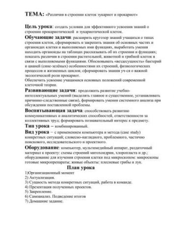 Царство бактерии