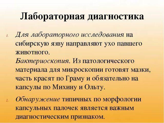 Сибирская язва (bacillus anthracis): характеристика возбудителя, заражение, симптоматика, диагностика, лечение