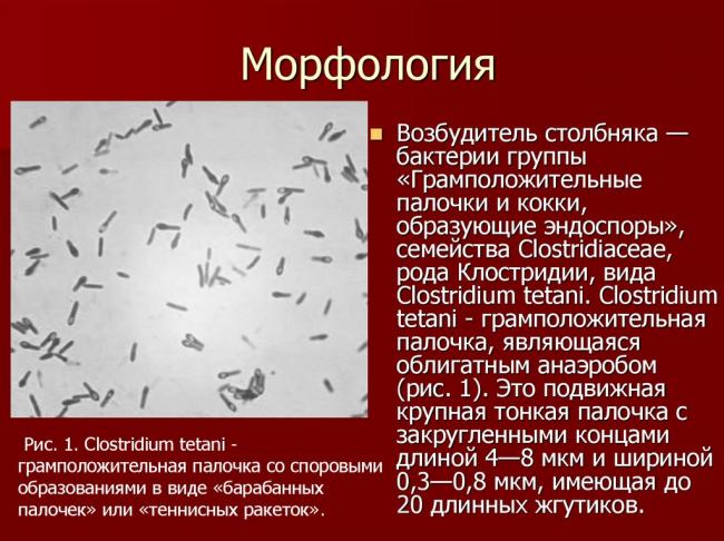 Симптомы столбняка у человека