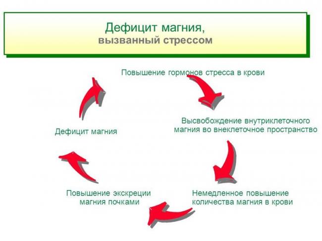Как понять, что не хватает магния в организме?