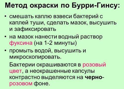 Функции бактерий с различных точек зрения