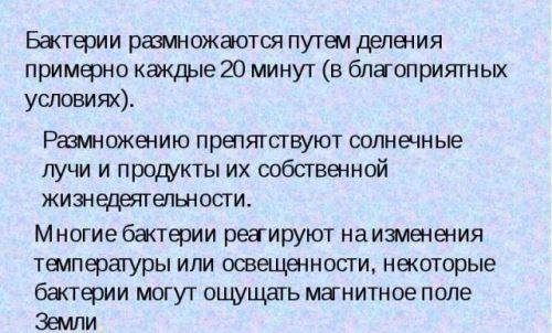Опасная микрофлора рядом: множество способов размножения патогенных микроорганизмов