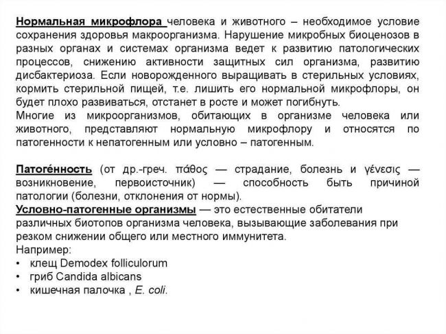 Важность роли бактерий и грибов в биоценозах земли.