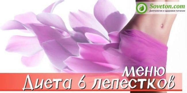 Диета 6 лепестков