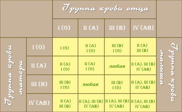 резус-принадлежность крови: как её определяют