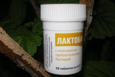 Какие пробиотики давать собаке топ 5 популярных препаратов