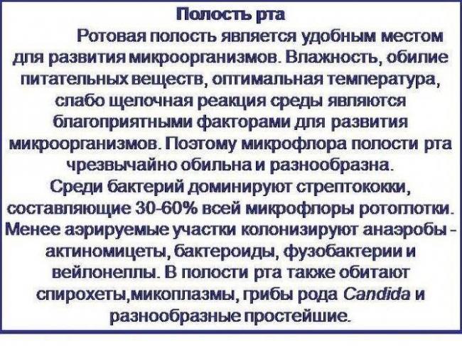 Плохие или хорошие: бактерии вокруг нас