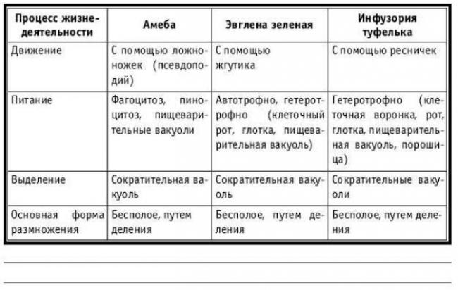 Разнообразие живого
