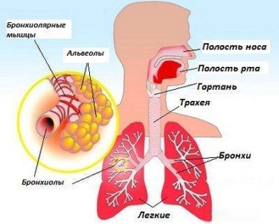 Кашель с кровью психосоматика
