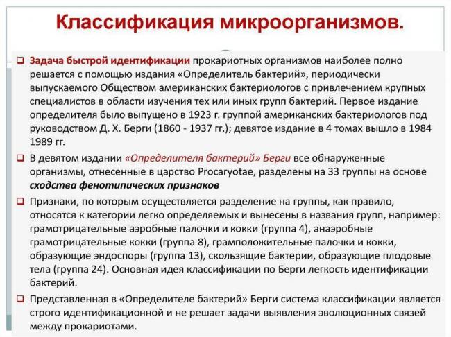 Почему бактерии относят к примитивной форме жизни и чем они отличаются от растений других организмов?