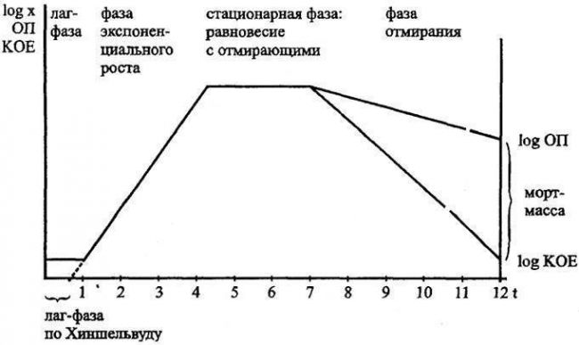 Рост и размножение микроорганизмов - рост и культивирование биообъектов - в. м. самыгин - 2016