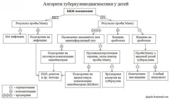 О чём говорит положительная реакция манту у ребенка? причины, фото