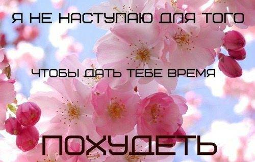 Диета весна на 35 дней
