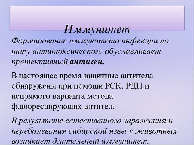Описание возбудителя сибирской язвы: формы, тяжесть и опасность бактериальной инфекции