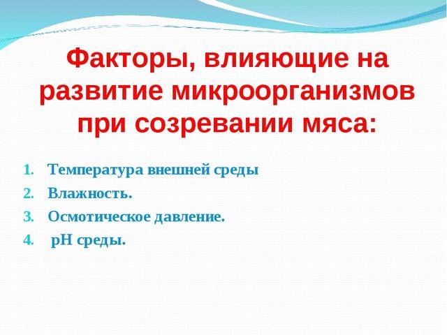 Бактерии и вещества в продуктах питания: полезные и не очень