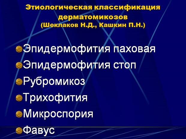 Паховая эпидермофития: причины заболевания, основные симптомы, лечение и профилактика