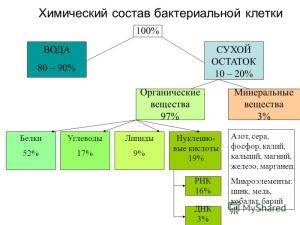 Урок биологии на тему "«значение бактерий в природе и жизни человека .болезнетворные бактерии.»( 6 класс)