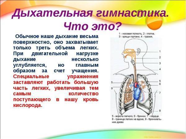 Самые хорошие капли в нос для детей от насморка