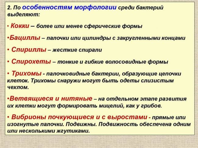 Царства живой природы