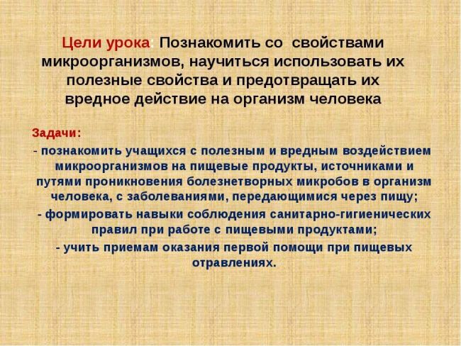 В каких продуктах содержатся пробиотики для кишечника – 10 лучших источников