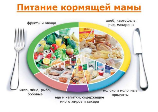 Безмолочная диета для ребенка и взрослого: принципы питания, разрешенные продукты