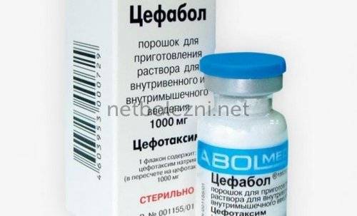 Антибиотики при пневмонии у взрослых название