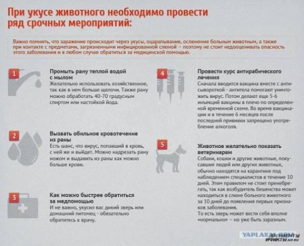 Прививка бцж загноилась... - загноилась прививка бцж - запись пользователя татьяна (silantyeva) в дневнике - babyblog.ru