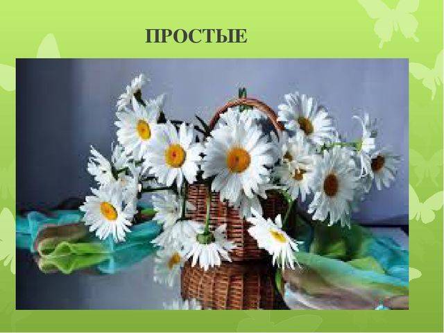 Бактерии- древние организмы