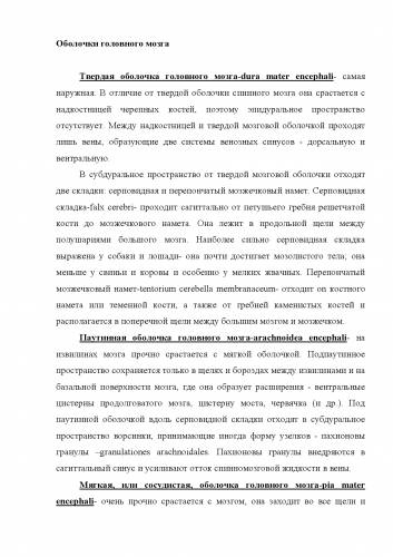 Клиническая анатомия позвоночника и спинного мозга