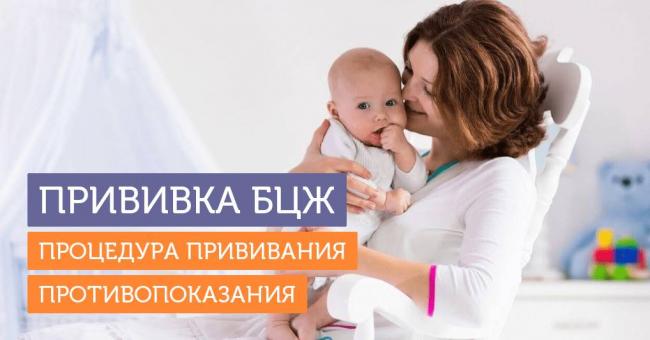 Вакцина бцж грудничку: что это такое? надо ли прививать малыша в роддоме? возможные реакции организма ребенка