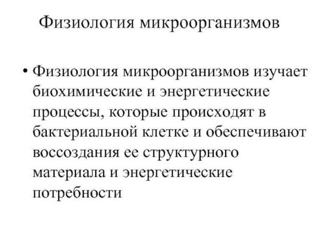 Размножаются бактерии путем деления и делают это очень быстро