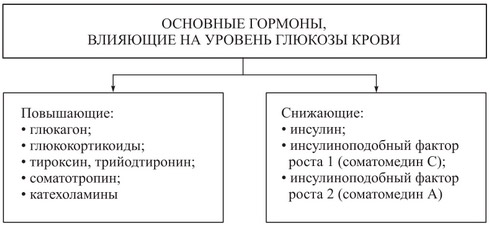 Гормон глюкагон: функции и механизм действия, где вырабатывается