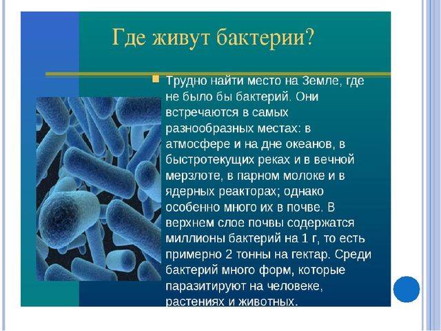 Биология: 1) почему бактерий считают самой древней группой живых существ на земле?
2) какие...